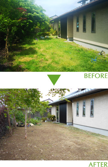 BeforeAfter2