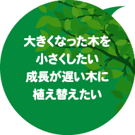 大きくなった木を小さくしたい　成長が遅い木に植え替えたい