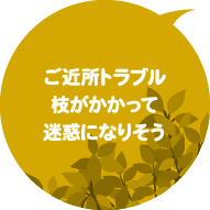 ご近所トラブル　枝がかかって迷惑になりそう