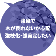 強風で木が倒れないか心配　強枝化・強剪定したい